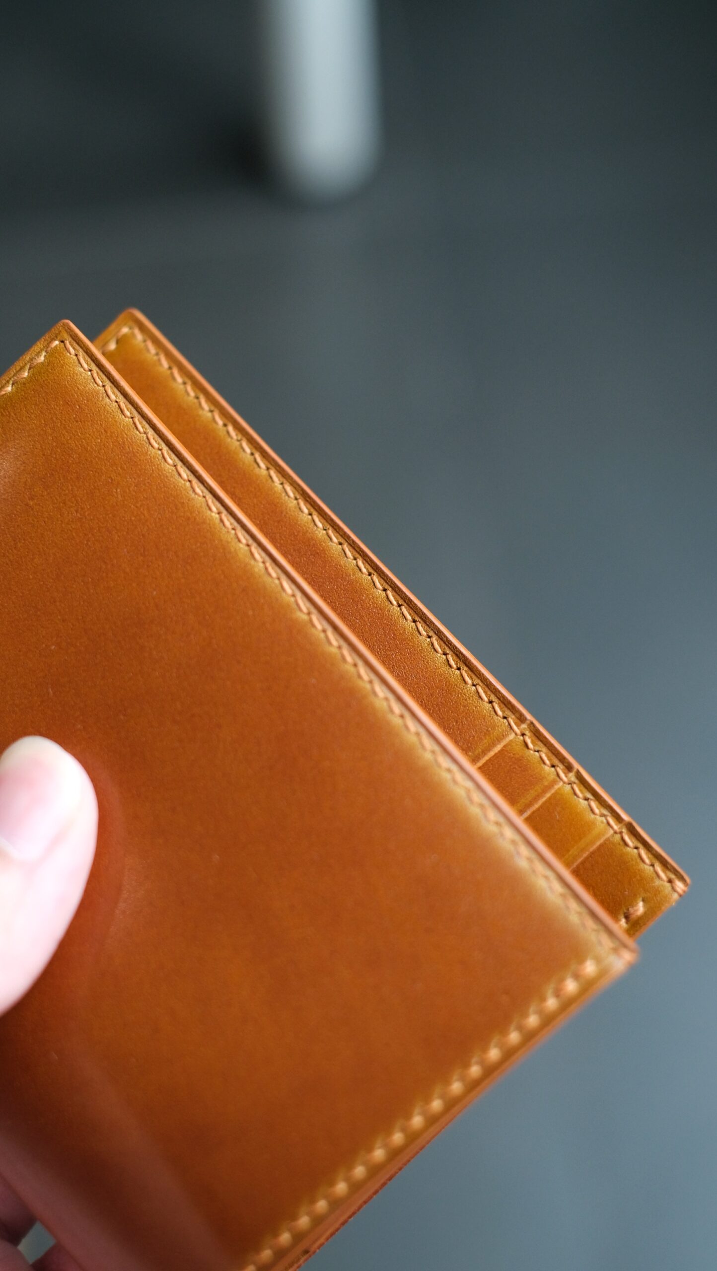 Shell Cordovan Vertical Wallet - Image 6